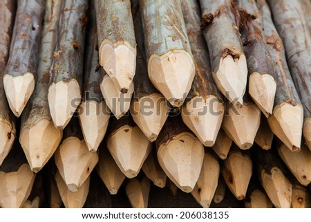 Pile of eucalyptus  pointed.