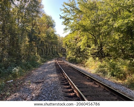 Forest trees along a railroad on an autumn afternoon Royalty-Free Stock Photo #2060456786