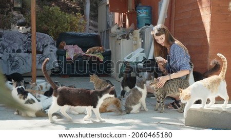 Pretty caucasian woman in summer clothes using modern smartphone for taking pictures of many colorful cats outdoors. Happy young lady playing and petting fluffy pets. Royalty-Free Stock Photo #2060465180