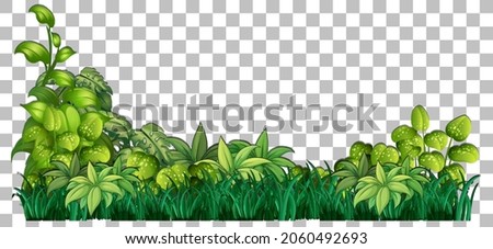 Grass and plants on transparent background for decor illustration