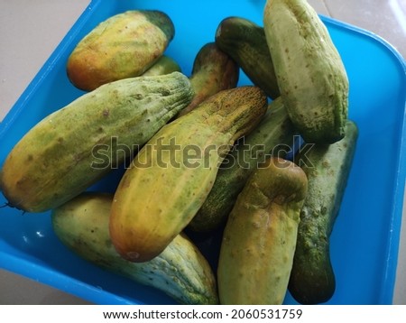 Green cucumber fruit that is good for health and beauty