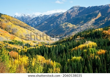 Fall Foliage of Colorado and it's beauty
