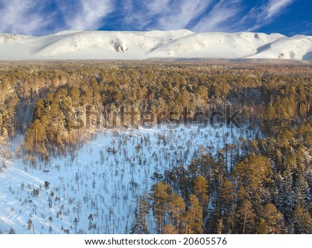 Wild taiga in West Siberia (Russia Federation). Aerial view. Frost in sunny day. White silence. Royalty-Free Stock Photo #20605576