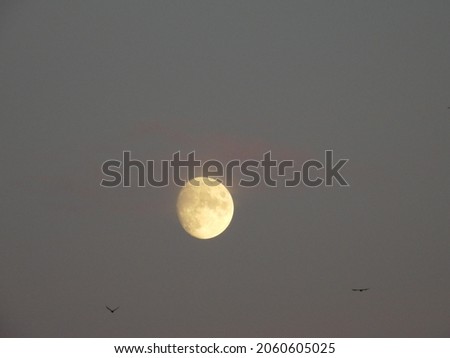 closeup of the moon with grey background