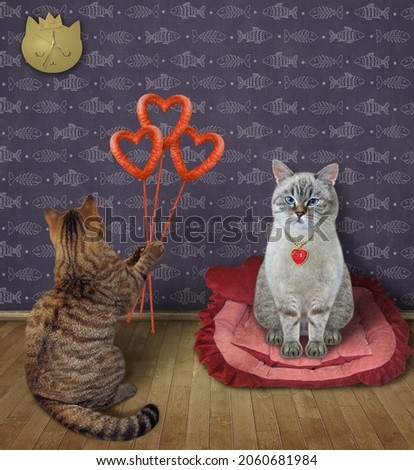 A beige cat gives bouquet of heart shaped sausages to his lover on Valentine's Day.