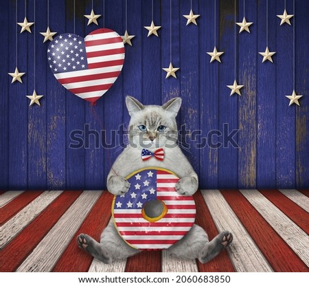An ashen cat sits with an american donut and a heart shaped balloon on a wooden stage.