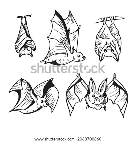 Bat line illustration in sketch style on white background. Vector illustration design template. 