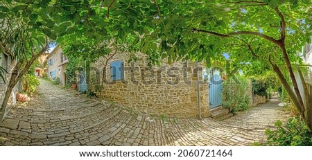 Picture of a romantic cobblestone street overgrown with trees and leaves in the medieval town of Motovun in central Istria during the day in the summertime