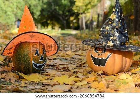 Bright orange and green pumpkin with smiles for your design for the holiday Halloween. Pumpkins in hats stand on yellow fallen leaves against the backdrop of an autumn landscape.