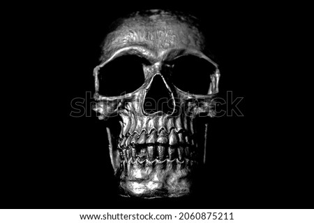 Skull of the human. Black and white photo. Skull of the human isolated on a black background. Human skull anatomy.