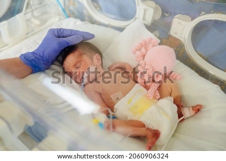 Premature newborn girl in hospital incubator after section at 33 weeks. Cute newborn baby inside incubator. Hand of nurse or doctor checking baby in incubator. Royalty-Free Stock Photo #2060906324