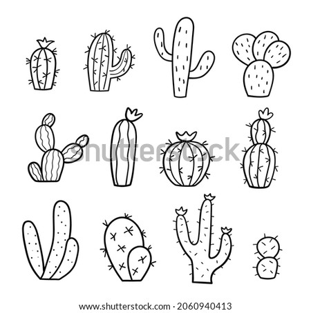 Set of hand drawn cactus. Doodle sketch. Collection of exotic plants. Vector linear illustration. Royalty-Free Stock Photo #2060940413
