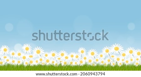 Seamless pattern grass field on summer nature background with chamomiles flowers and blue sky,Vector Endless Spring background with white flower and abstract blurry bokeh light effect 