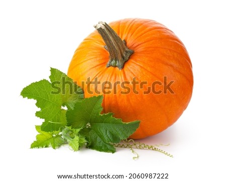 Pumpkin with fresh green leaves isolated over white background