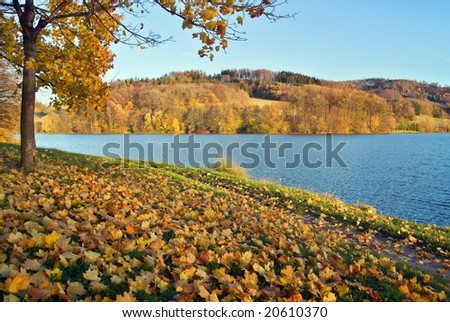 Autumn in park with view on lake
