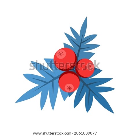 Holly sprig with berries vector illustration. Christmas decoration.