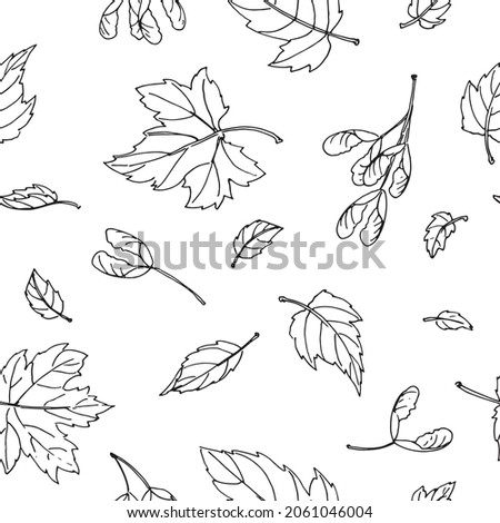 monochrome black in white outline maple leaves. Seamless vector pattern in hand drawing sketching style