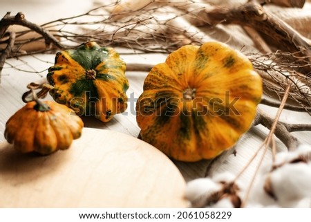 Autumn still life in a rustic style. Natural materials. Visual picture.