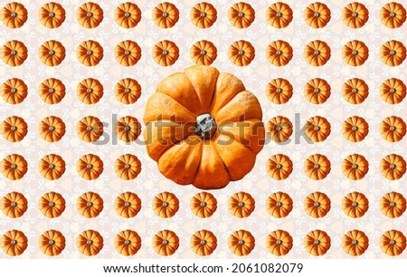 Pumpkin Pattern, Background for Halloween, Orange colored ripe and lone pumpkin in the middle, texture