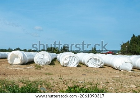 Multiple long rows of white silo bales of hay in a farmer's field. The farm has green hay growing around the stored haystack rolls on pasture land. The covering is a white plastic or poly material.