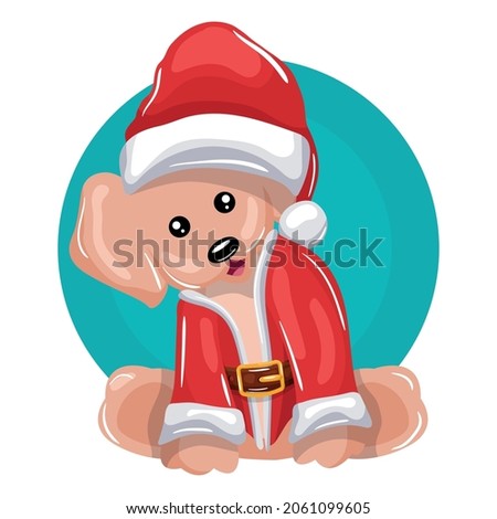 little smiling dog with christmas hat on transparent background