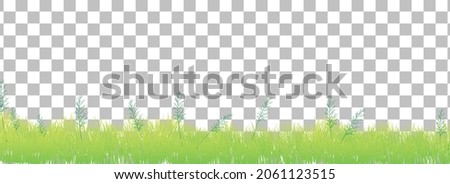Green grass on transparent background illustration