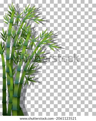 Bamboo tree on transparent background illustration