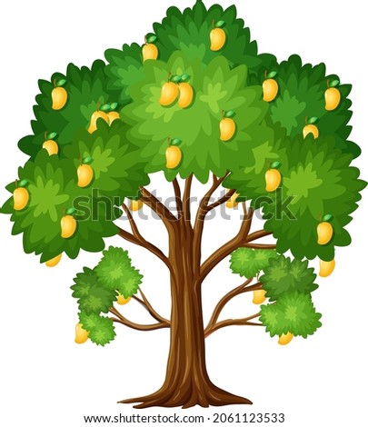 Yellow mango tree isolated on white background illustration