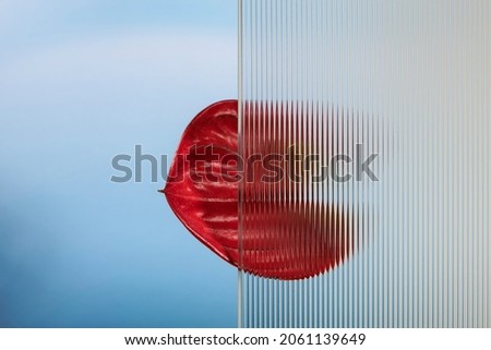 Nature background with flower behind patterned glass Royalty-Free Stock Photo #2061139649