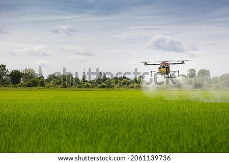 Modern smart farm with drone. Agriculture drone fly to sprayed fertilizer on the rice fields. Royalty-Free Stock Photo #2061139736