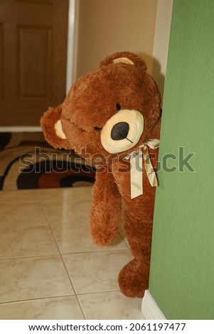 View of a large teddy bear peaking next to a wall. Playing peak a boo. Surprise valentines gift.