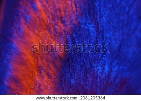 blurry textured leaf surface abstract color background image