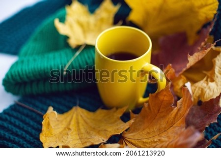 yellow mug with tea and yellow maple leaves stands on a white window in autumn