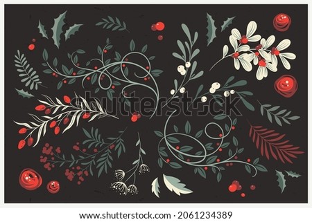 Winter foliage. Whimsical vector collection of Christmas floral arrangements and plants, branches and berries. Decorative botanical elements for holiday and wedding design, greeting cards, invitations