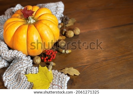 Autumn composition with a pumpkin scarf of large knitting and nuts on a wooden table. Place to copy