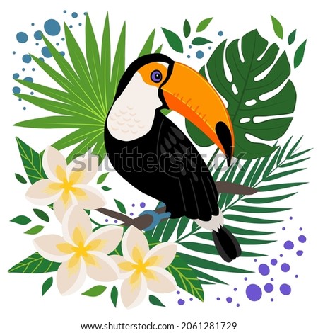 Toucan bird exotic leaves and flowers, monstera, palm, plumeria and abstract spots vector illustration.