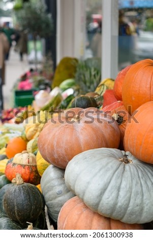Variety of pumpkins for sale during Thanksgiving and Halloween at street shop. Selective focus 