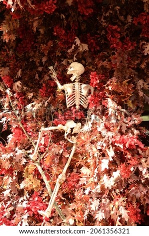 Street decorations for halloween. Funny skeletons, skulls and fallen leaves. Fun and scary