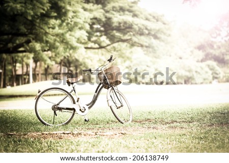 Bicycle in the park with retro or vintage color tone