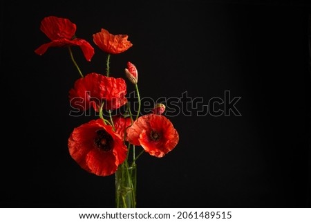 Remembrance Day greeting card. Beautiful red poppies flowers on black background. Lest we forget. Royalty-Free Stock Photo #2061489515