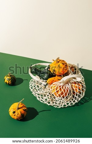 Autumn composition with pumpkins and gourdes in white crochet shopping bag against green and beige two tone background. Creative vegetable fall food concept. Minimal Thanksgiving still live idea.
