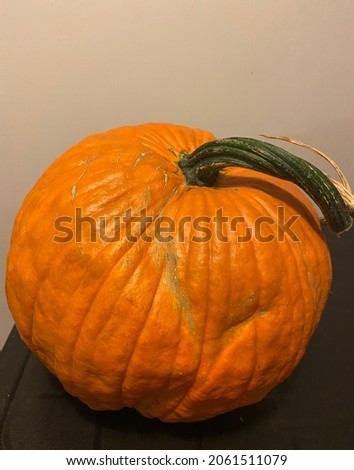Large orange pumpkin with stem.