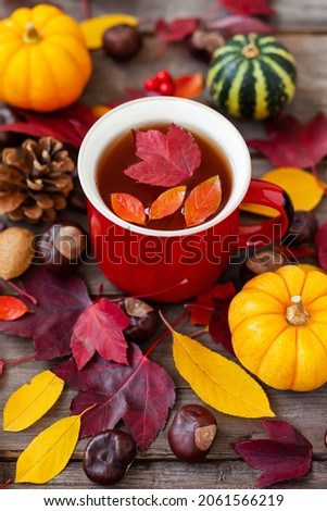 Autumn composition with a mug of hot herbal tea. Pumpkins, bright leaves, wooden background. Top view close up

