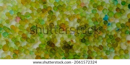 Abstract banner with pastel colors, colored spheres immersed in water. Flat lay top view