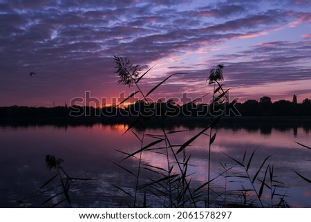 Dramatic sky with silhouette of pampas grass in the foreground. Symmetry of colorful clouds in the water of a lake. Rural scene at sunrise or sunset.
