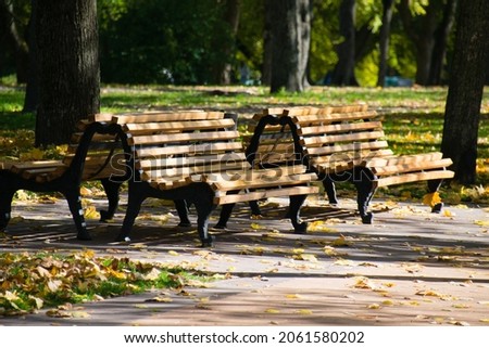 Wooden benches in autumn in a city park on a sunny warm day.