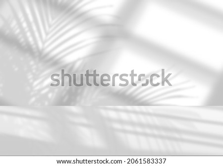 Gray background of shadows coconut trees or palms shine through windows, Light on floor and wallpaper for product display  presentation.