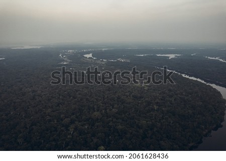 Amazon river. Photo from a height. High quality photo