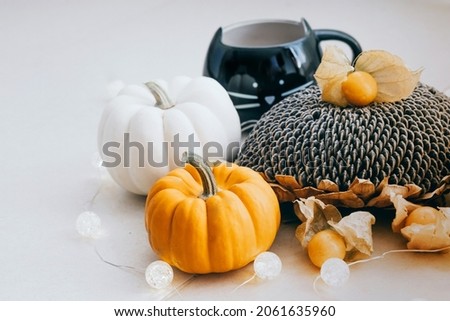 hello autumn. fall vibes still life with cute decorative pumpkins sunflower physalis and hot beverage