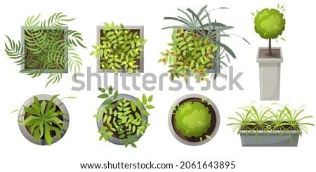Plants in pots top view. Different colored plants and trees vector set for interior, architectural and landscape design. Isolated on white.Vector illustration. Element for design projects. Green space Royalty-Free Stock Photo #2061643895